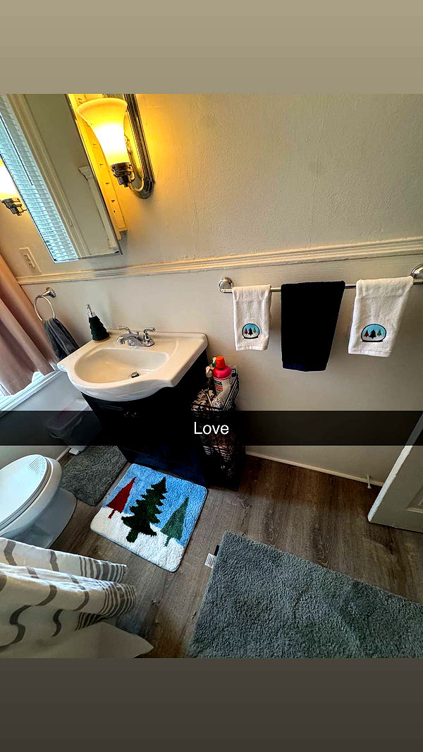 carmmieecat image ~ Altpins