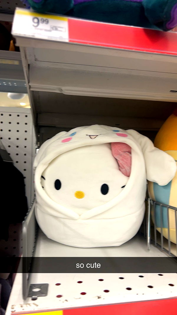 carmmieecat image ~ Altpins