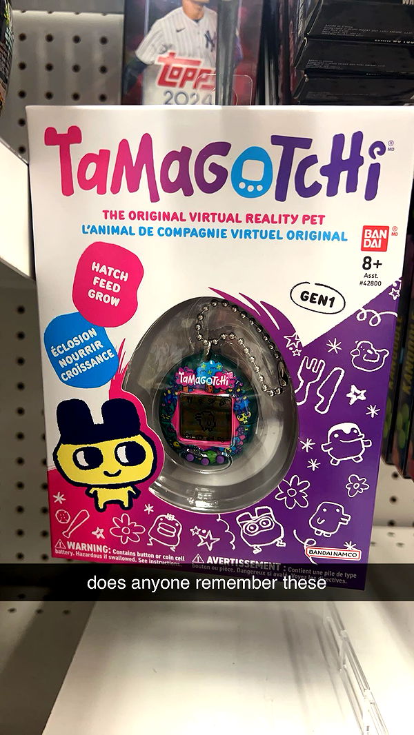 carmmieecat image ~ Altpins