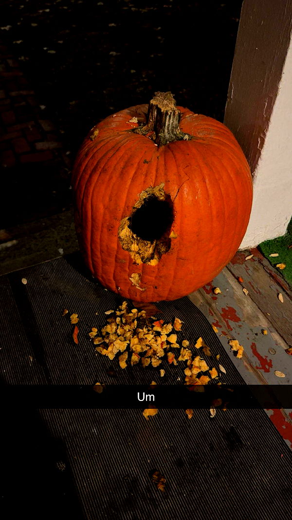 carmmieecat image ~ Altpins