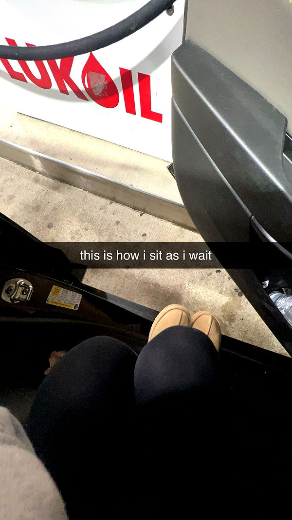 carmmieecat image ~ Altpins