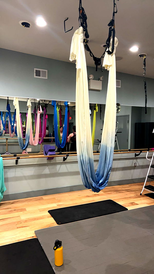 carmmieecat image ~ Altpins