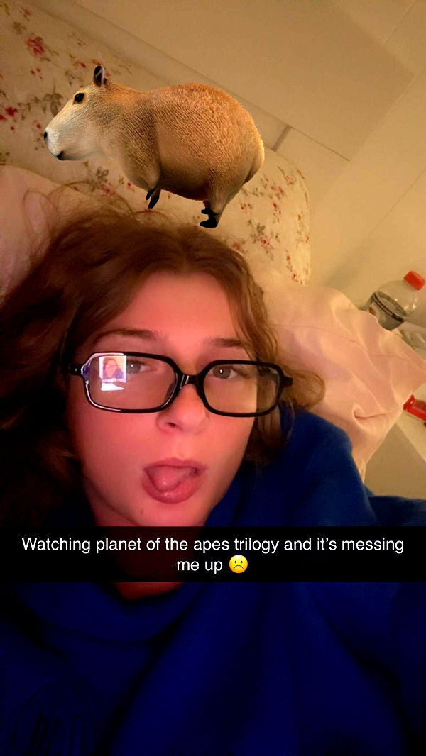 carmmieecat image ~ Altpins