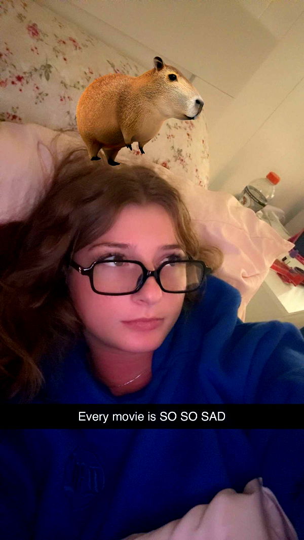 carmmieecat image ~ Altpins