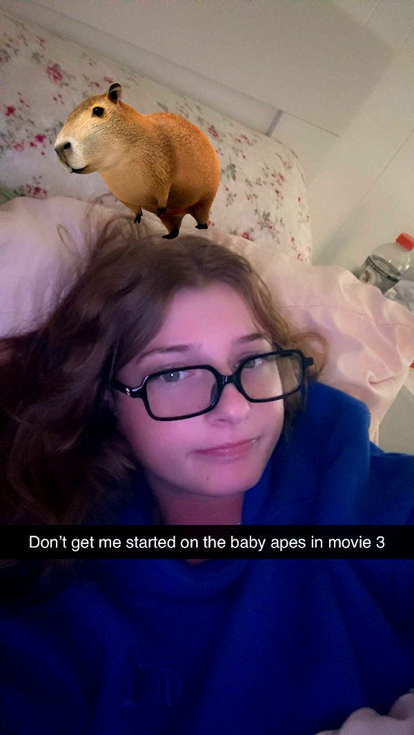 carmmieecat image ~ Altpins