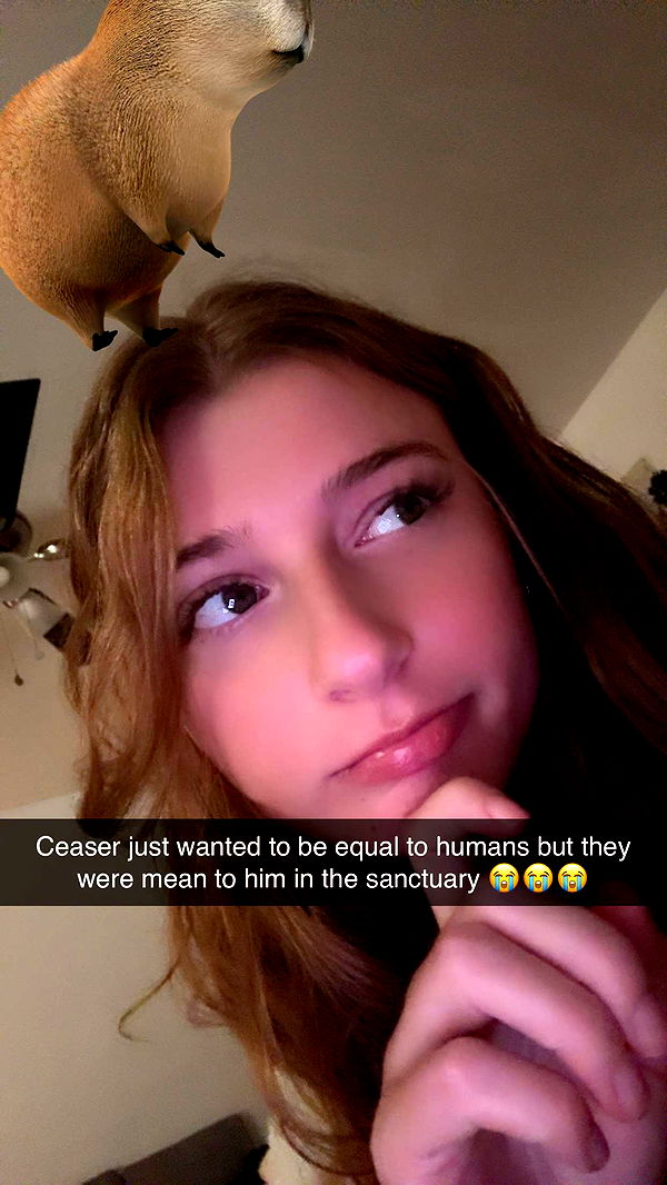 carmmieecat image ~ Altpins