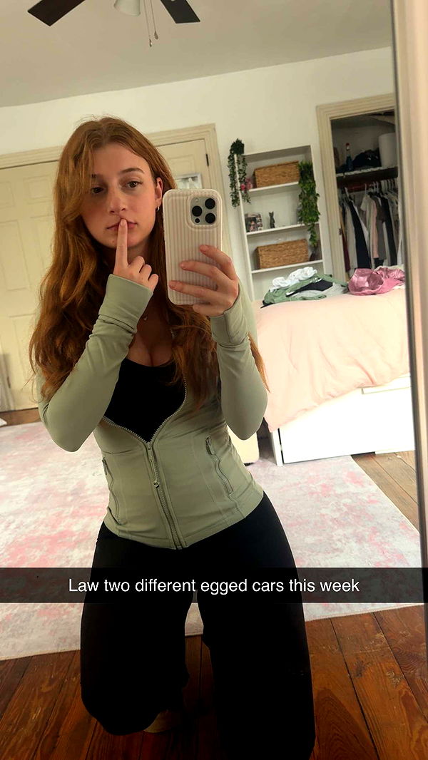 carmmieecat image ~ Altpins