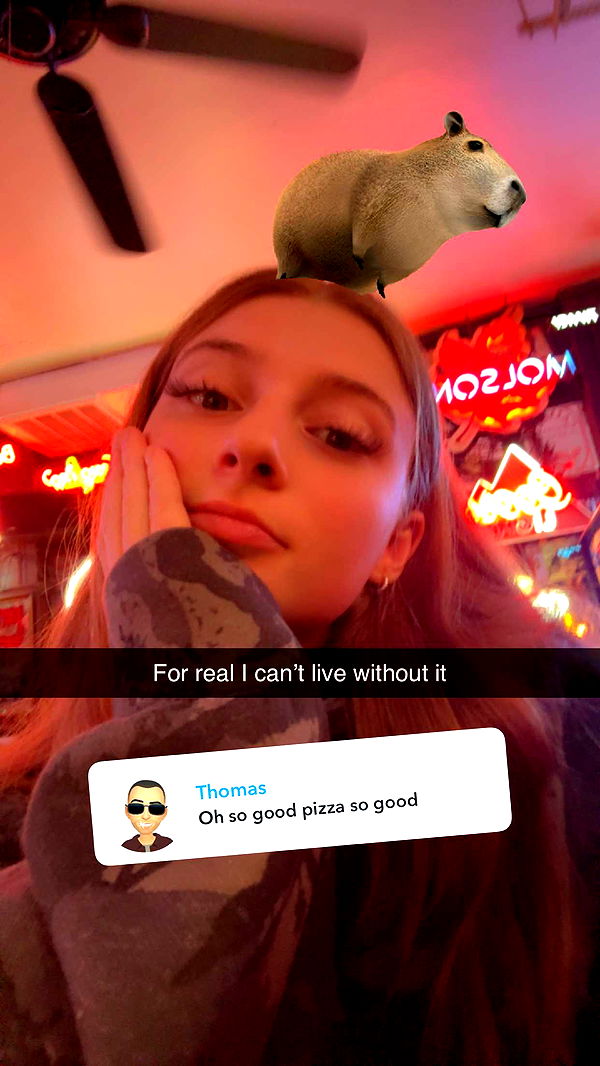 carmmieecat image ~ Altpins