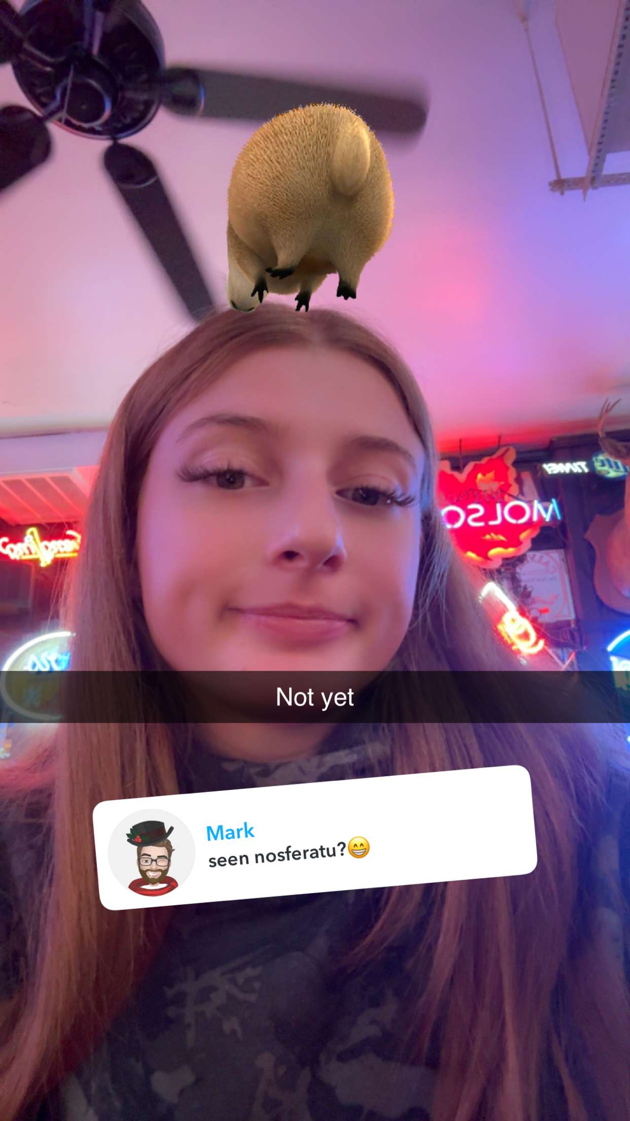 carmmieecat snapchat image archive image