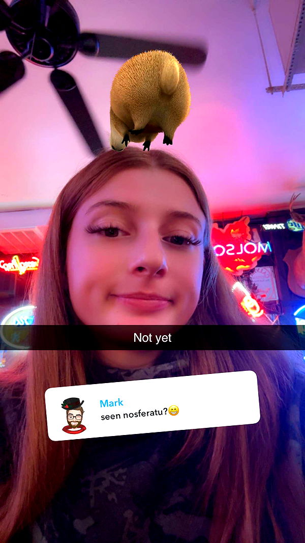 carmmieecat image ~ Altpins