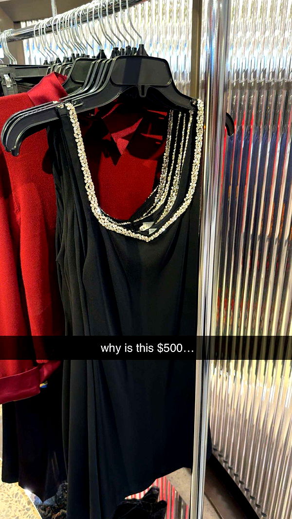 carmmieecat image ~ Altpins