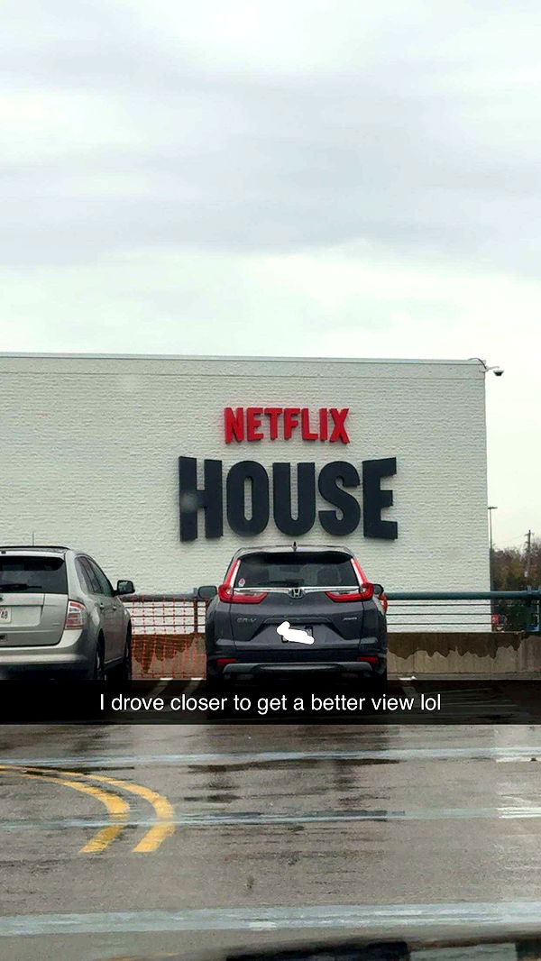 carmmieecat image ~ Altpins