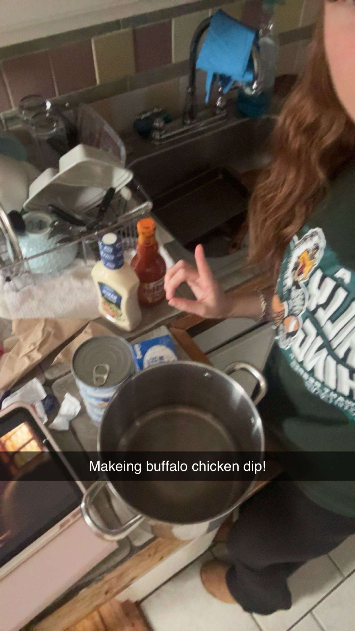 carmmieecat snapchat image archive image