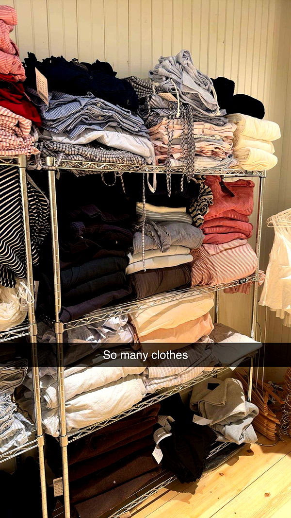 carmmieecat image ~ Altpins