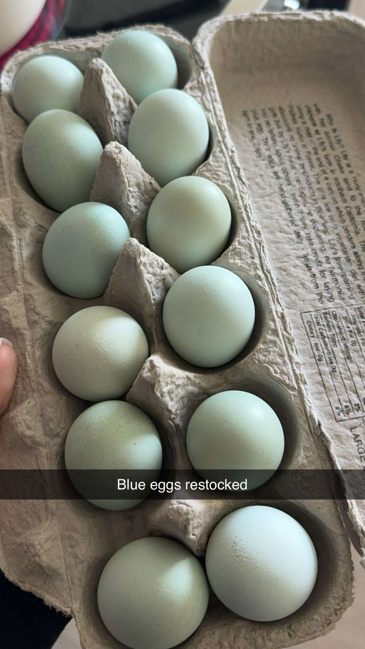 caroworld00 snapchat image archive image