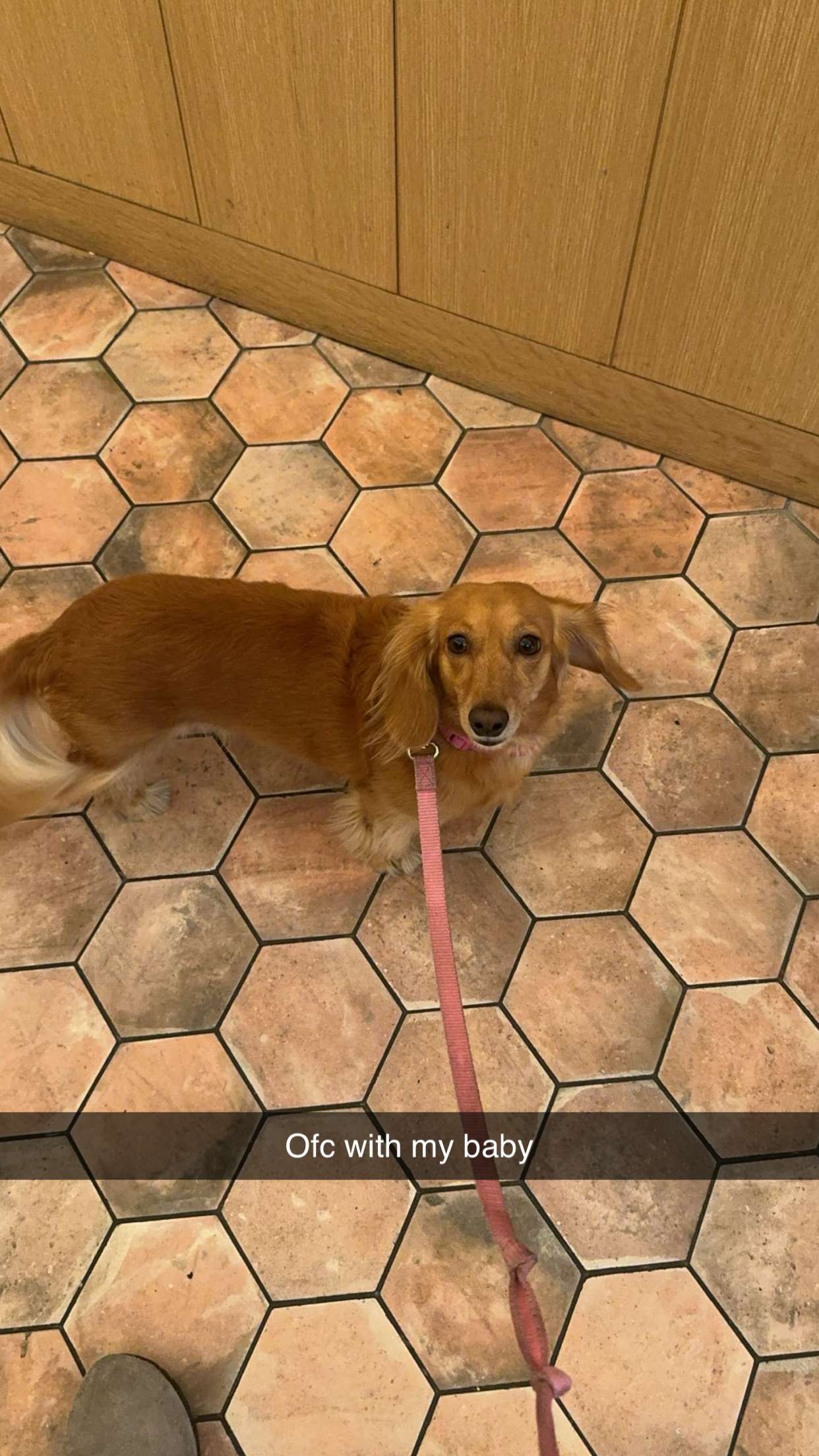 caroworld00 snapchat image archive image