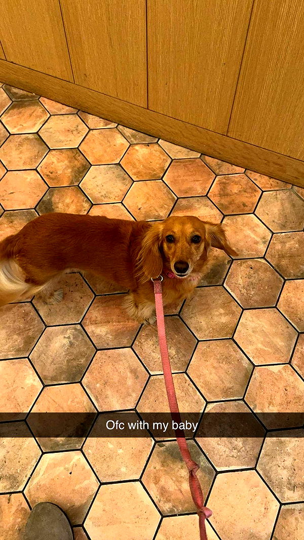 caroworld00 image ~ Altpins