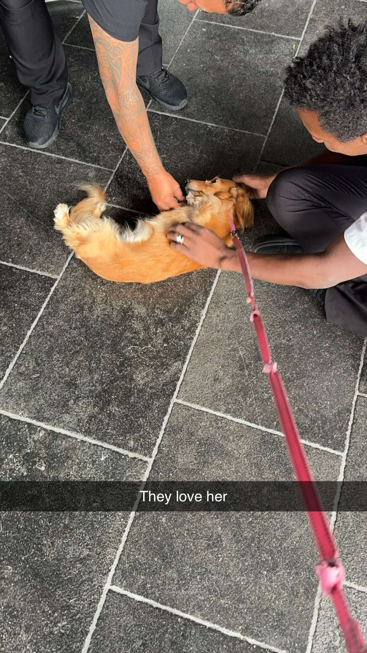 caroworld00 snapchat image archive image