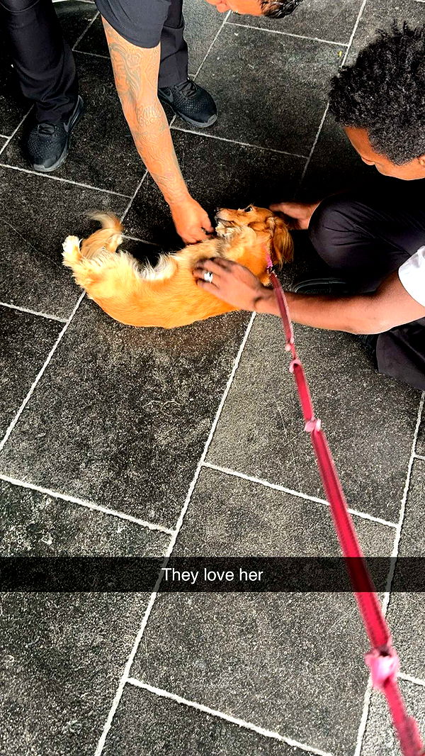 caroworld00 image ~ Altpins