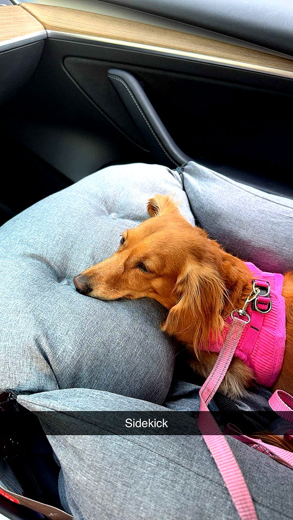 caroworld00 image ~ Altpins