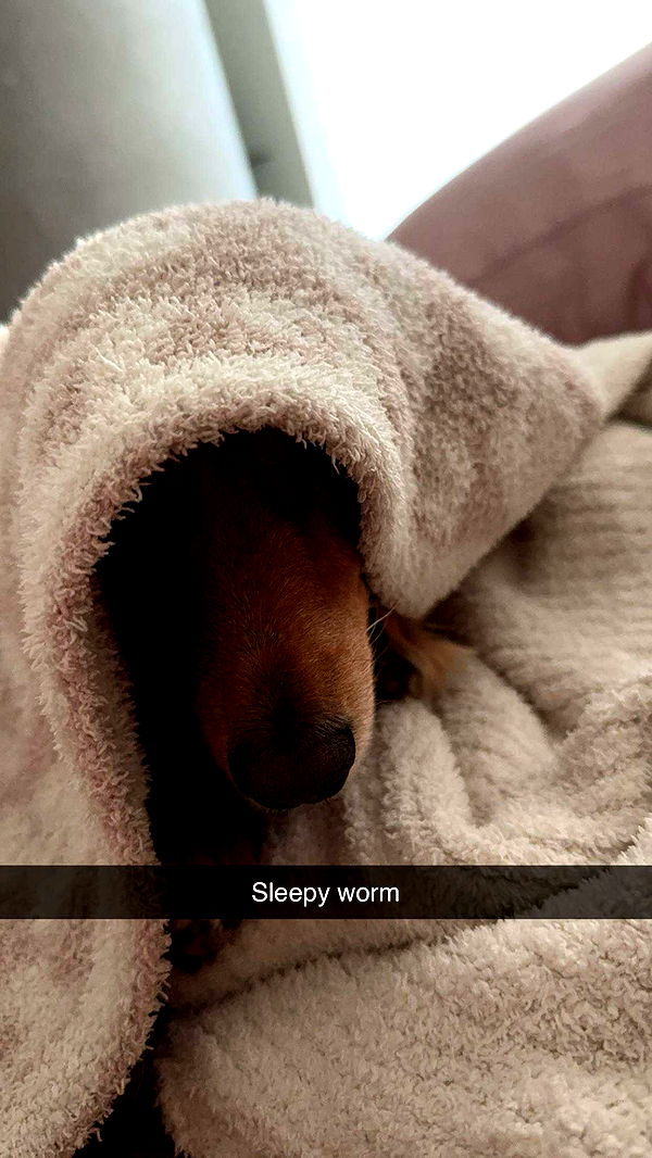 caroworld00 image ~ Altpins