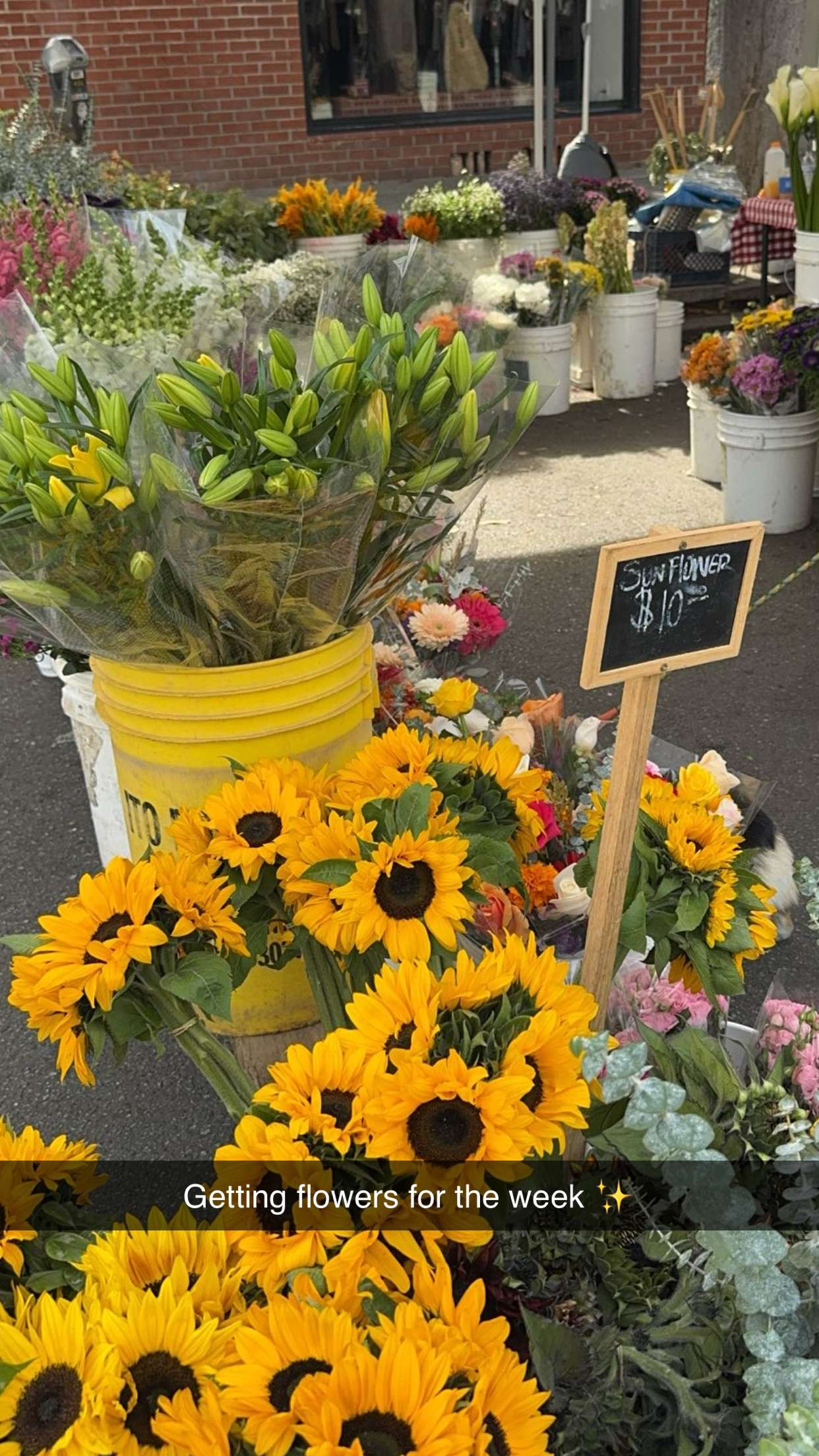 caroworld00 snapchat image archive image