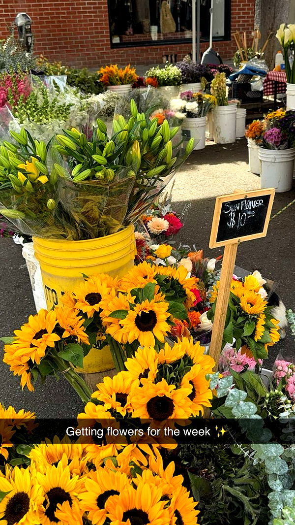 caroworld00 image ~ Altpins