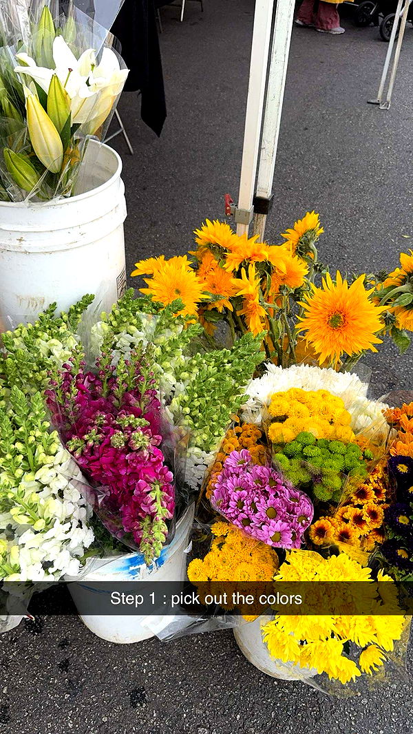 caroworld00 image ~ Altpins