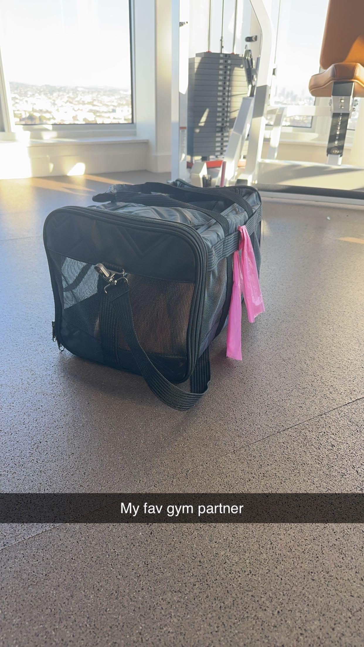 caroworld00 snapchat image archive image