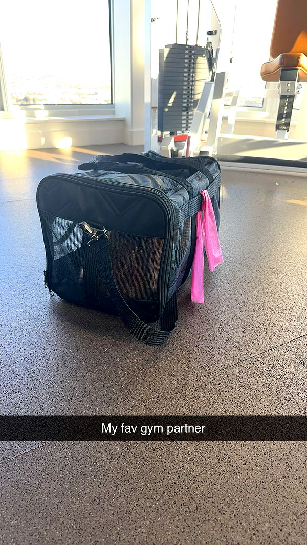 caroworld00 image ~ Altpins