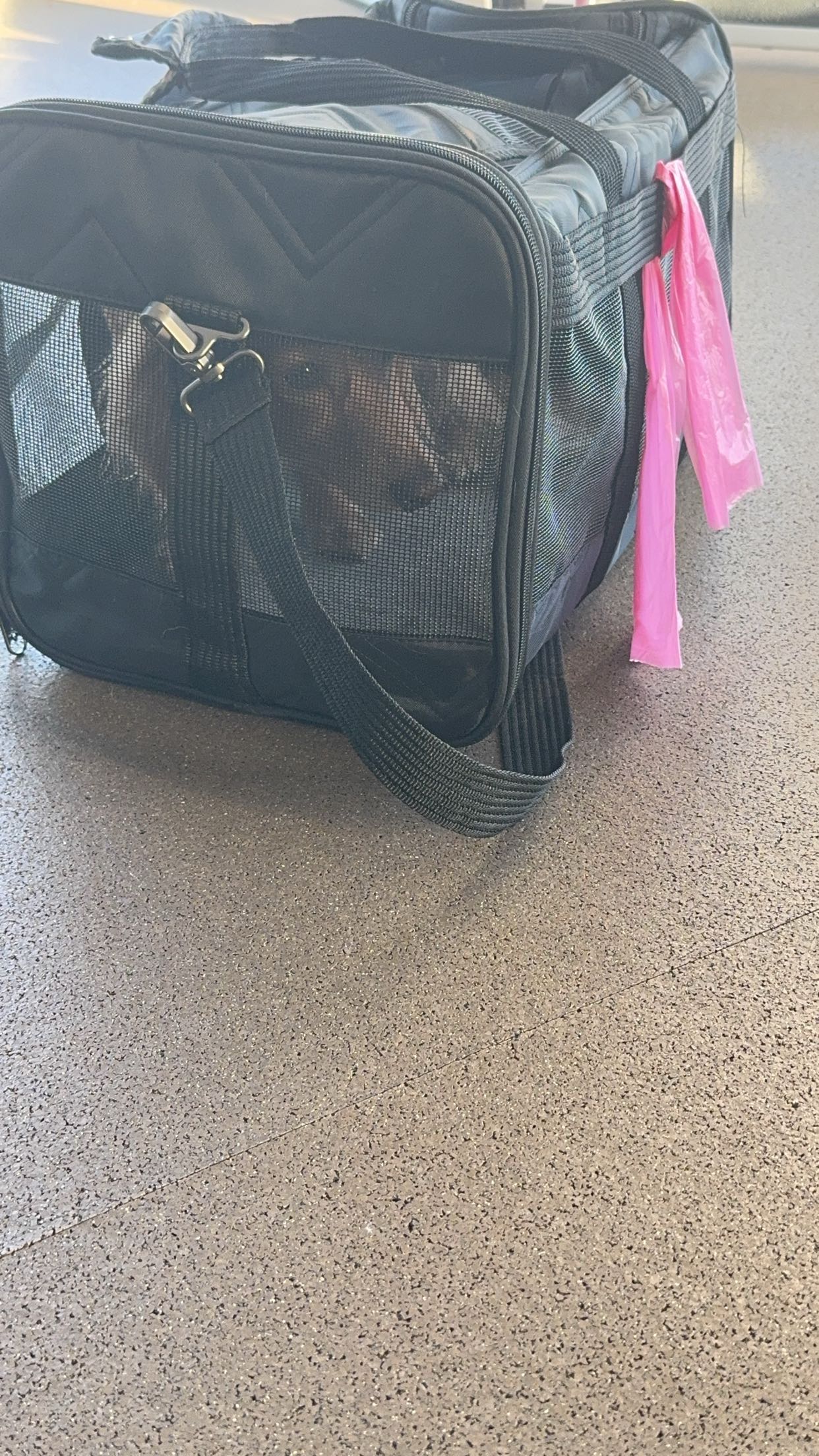 caroworld00 snapchat image archive image