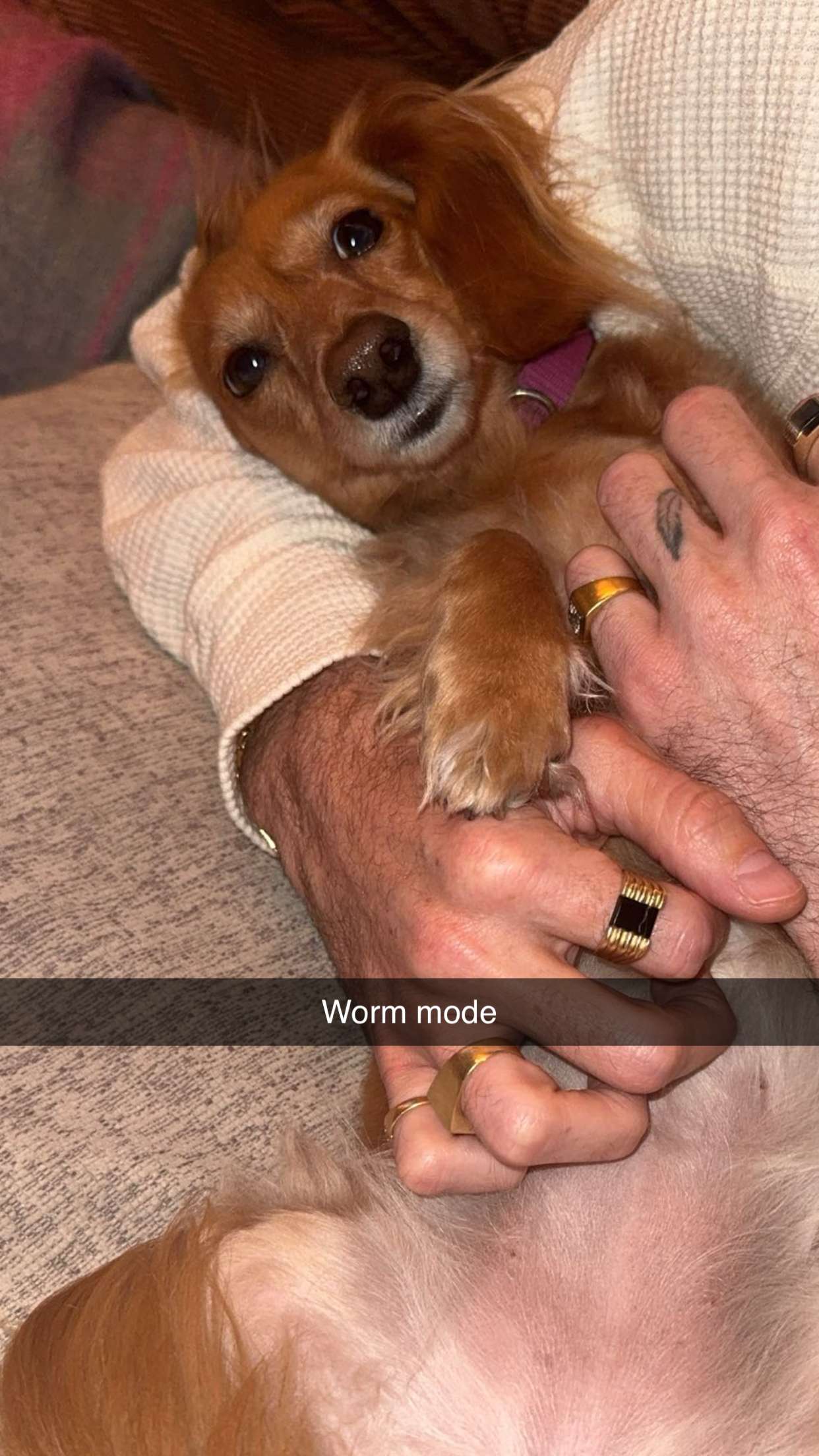 caroworld00 snapchat image archive image