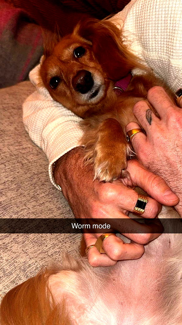 caroworld00 image ~ Altpins