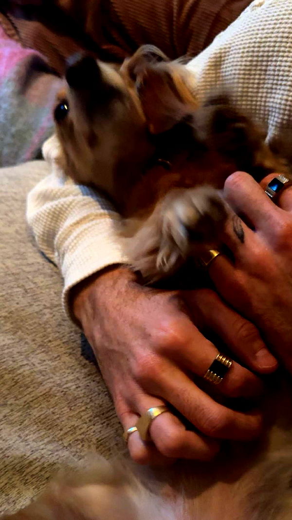 caroworld00 image ~ Altpins