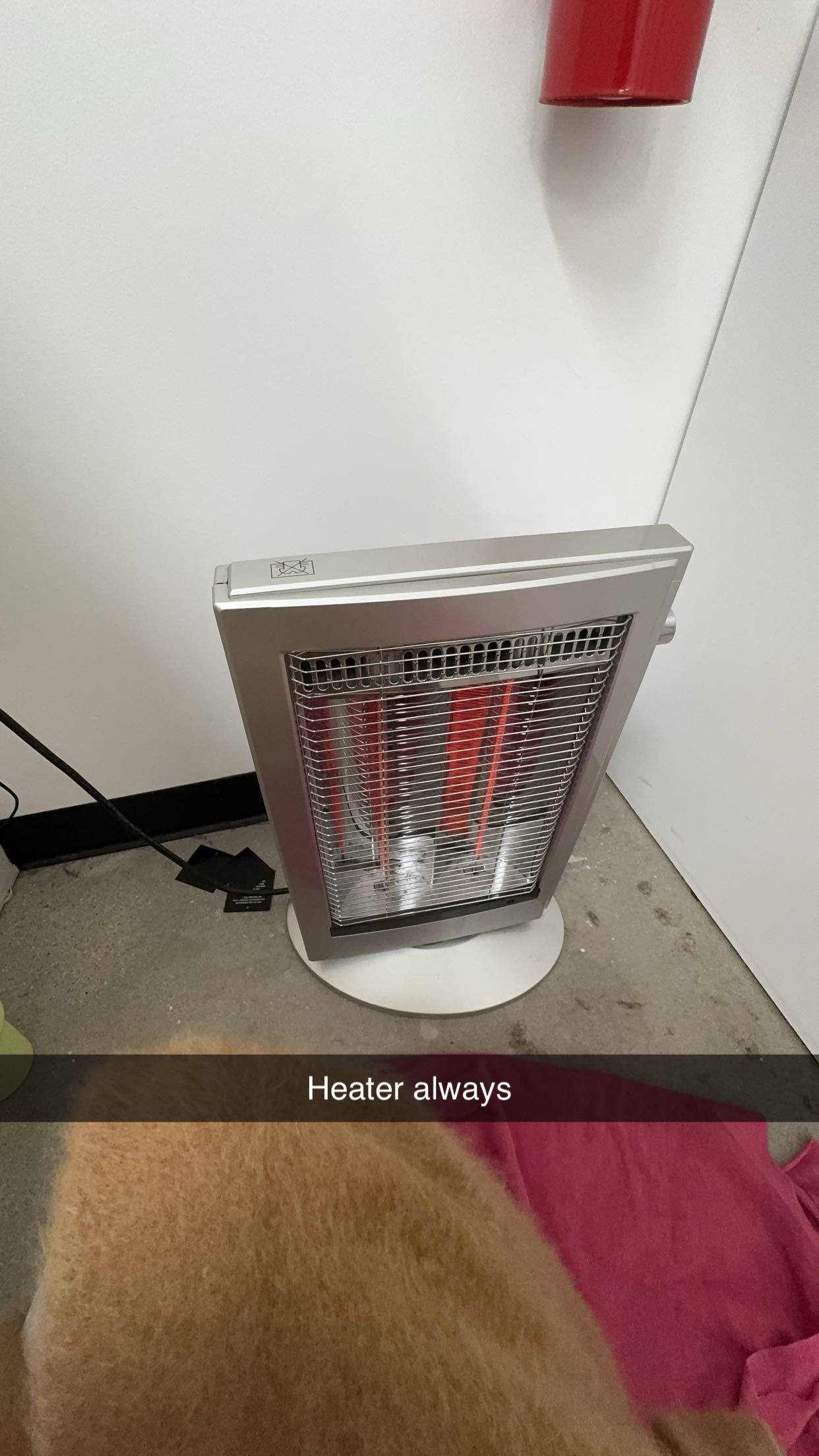 caroworld00 snapchat image archive image