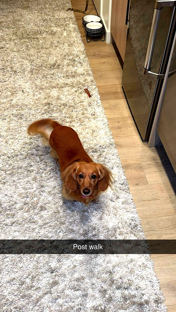 caroworld00 image ~ Altpins