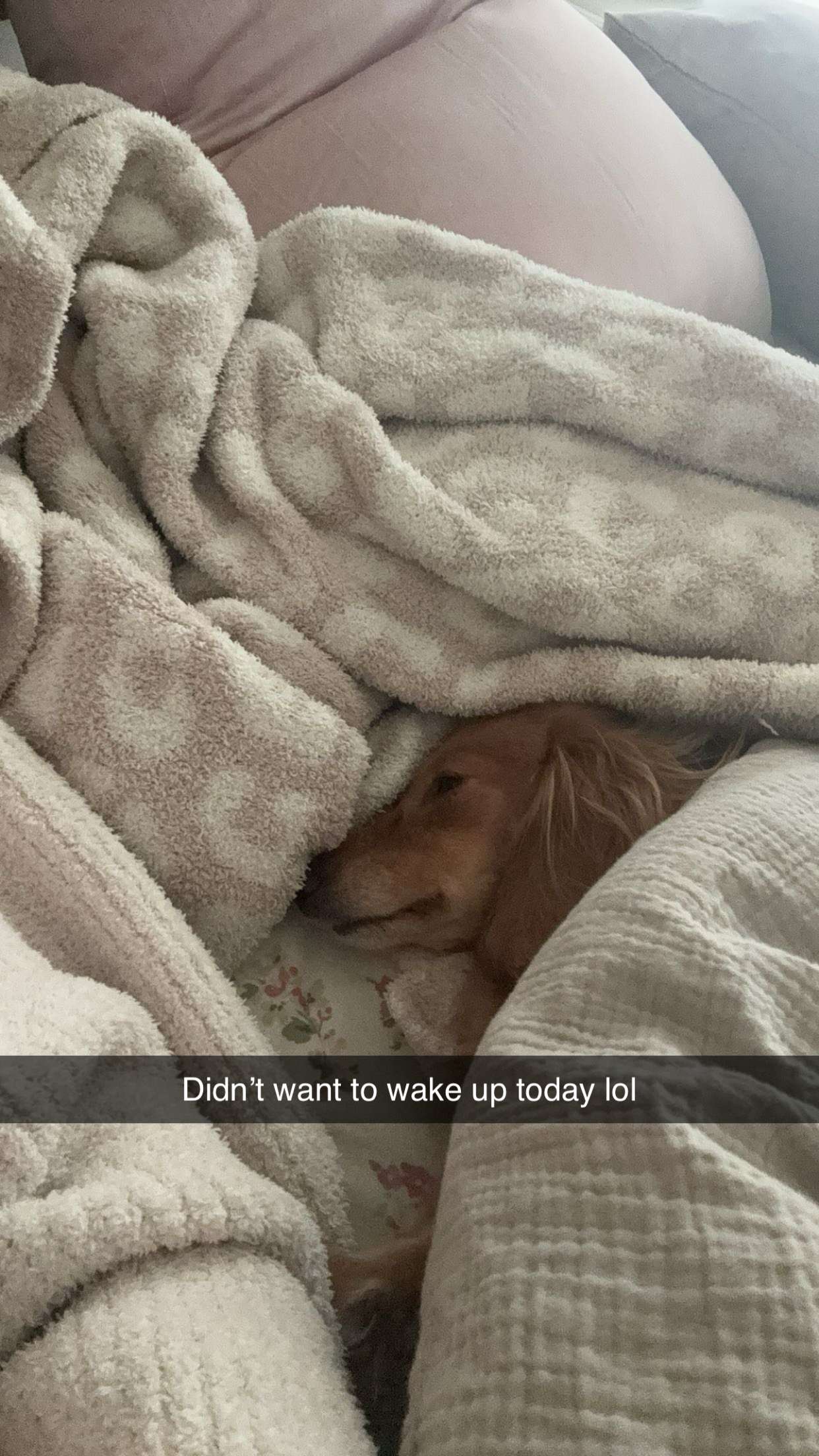 caroworld00 snapchat image archive image