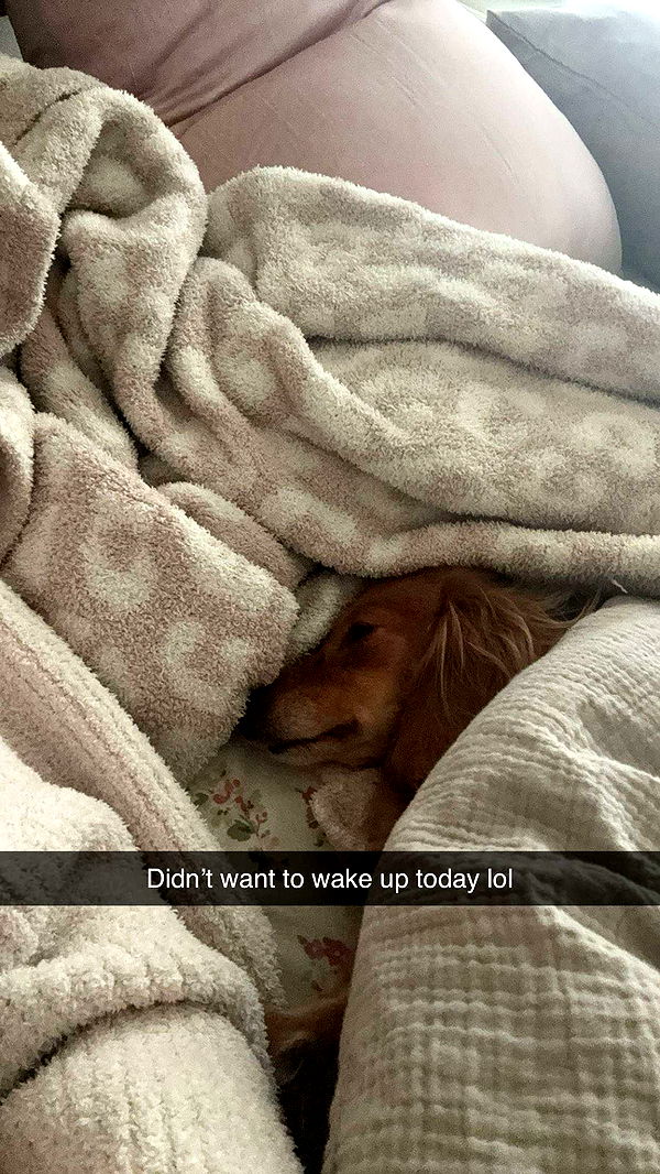 caroworld00 image ~ Altpins