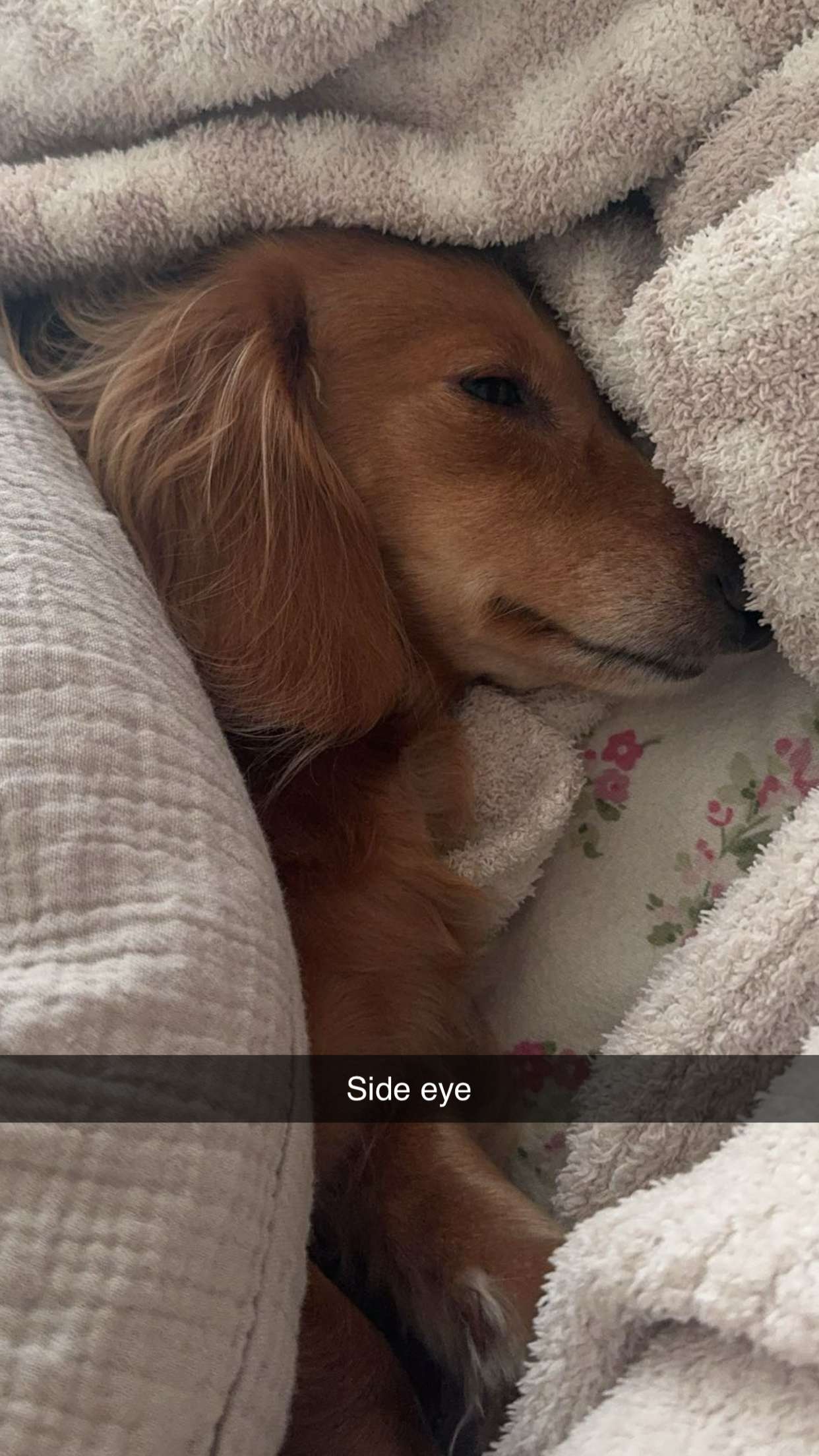 caroworld00 snapchat image archive image