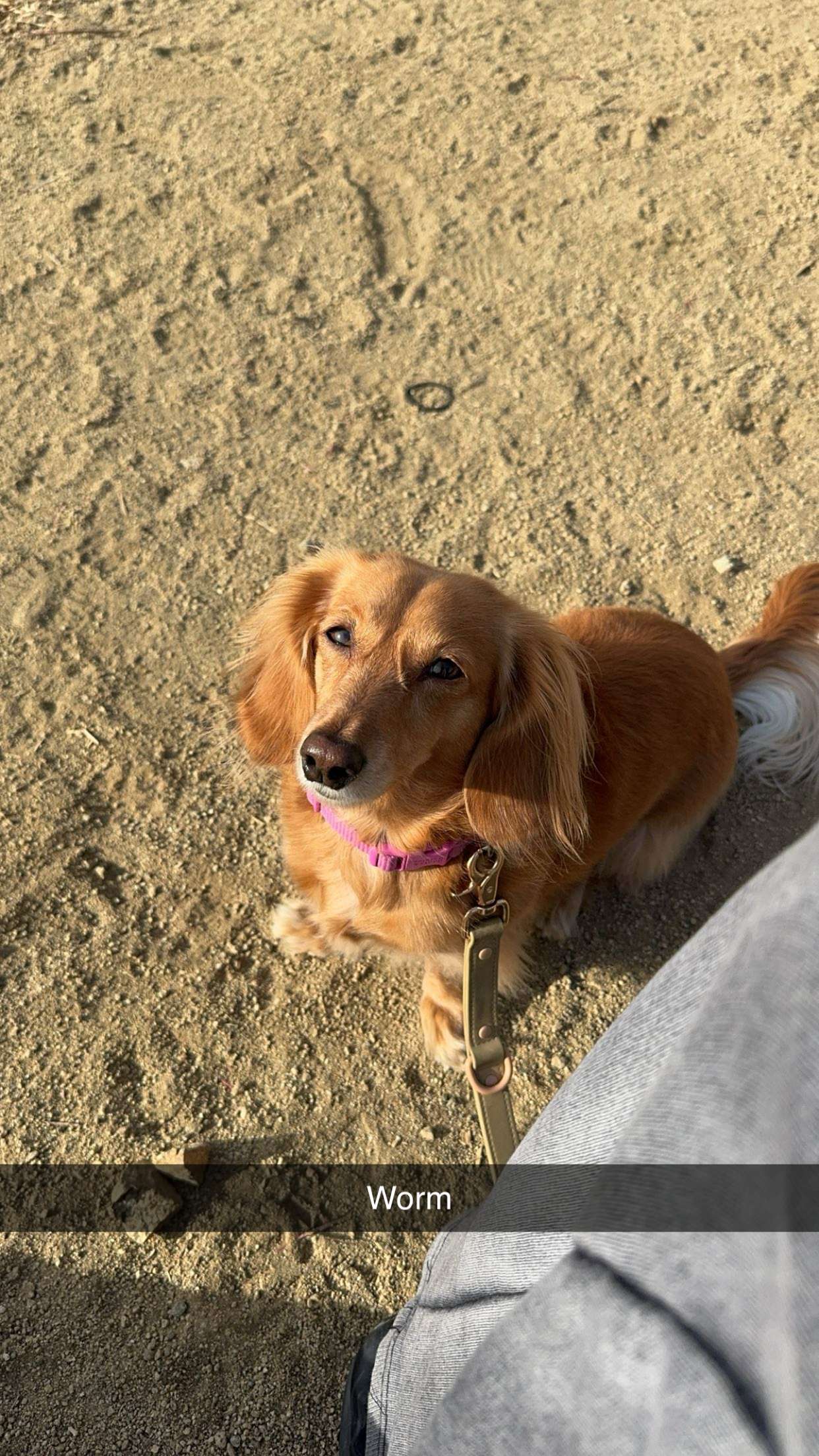 caroworld00 snapchat image archive image