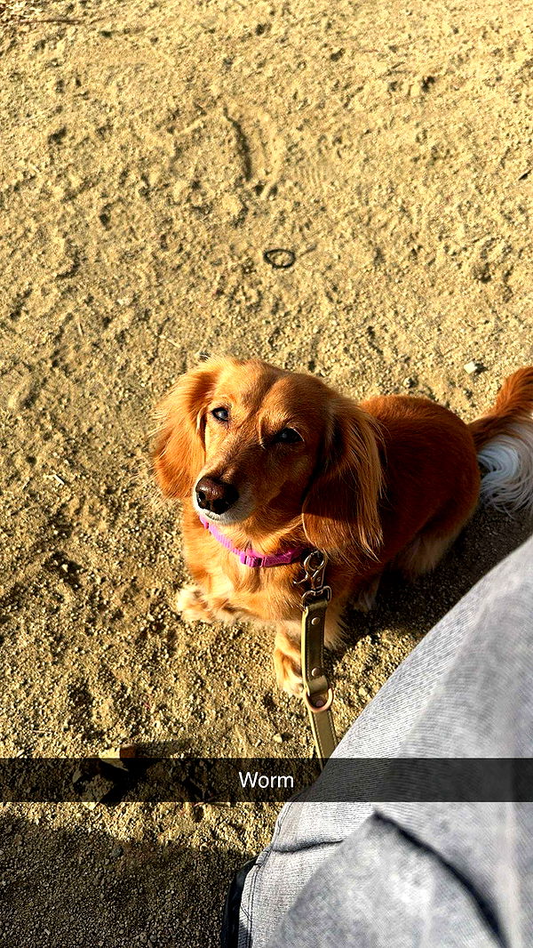 caroworld00 image ~ Altpins