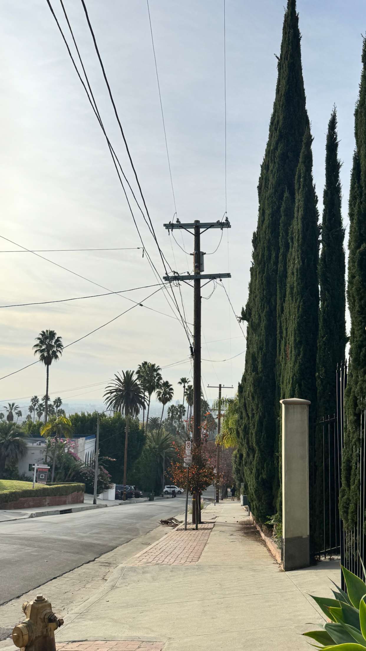 caroworld00 snapchat image archive image