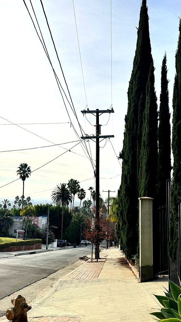 caroworld00 image ~ Altpins