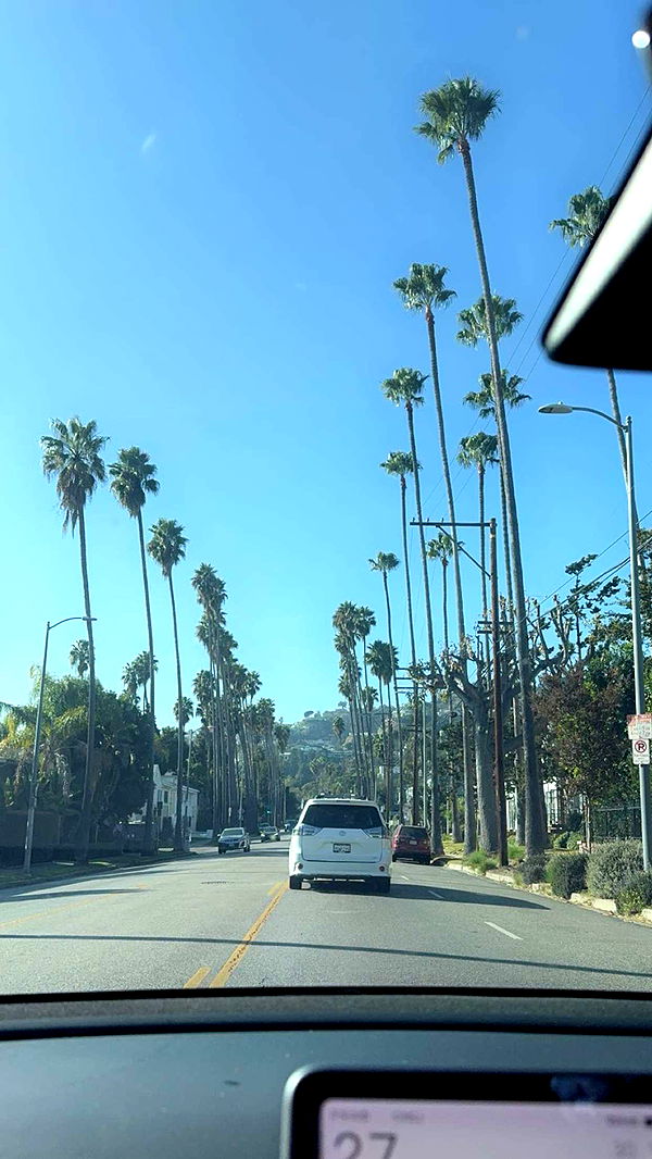 caroworld00 image ~ Altpins