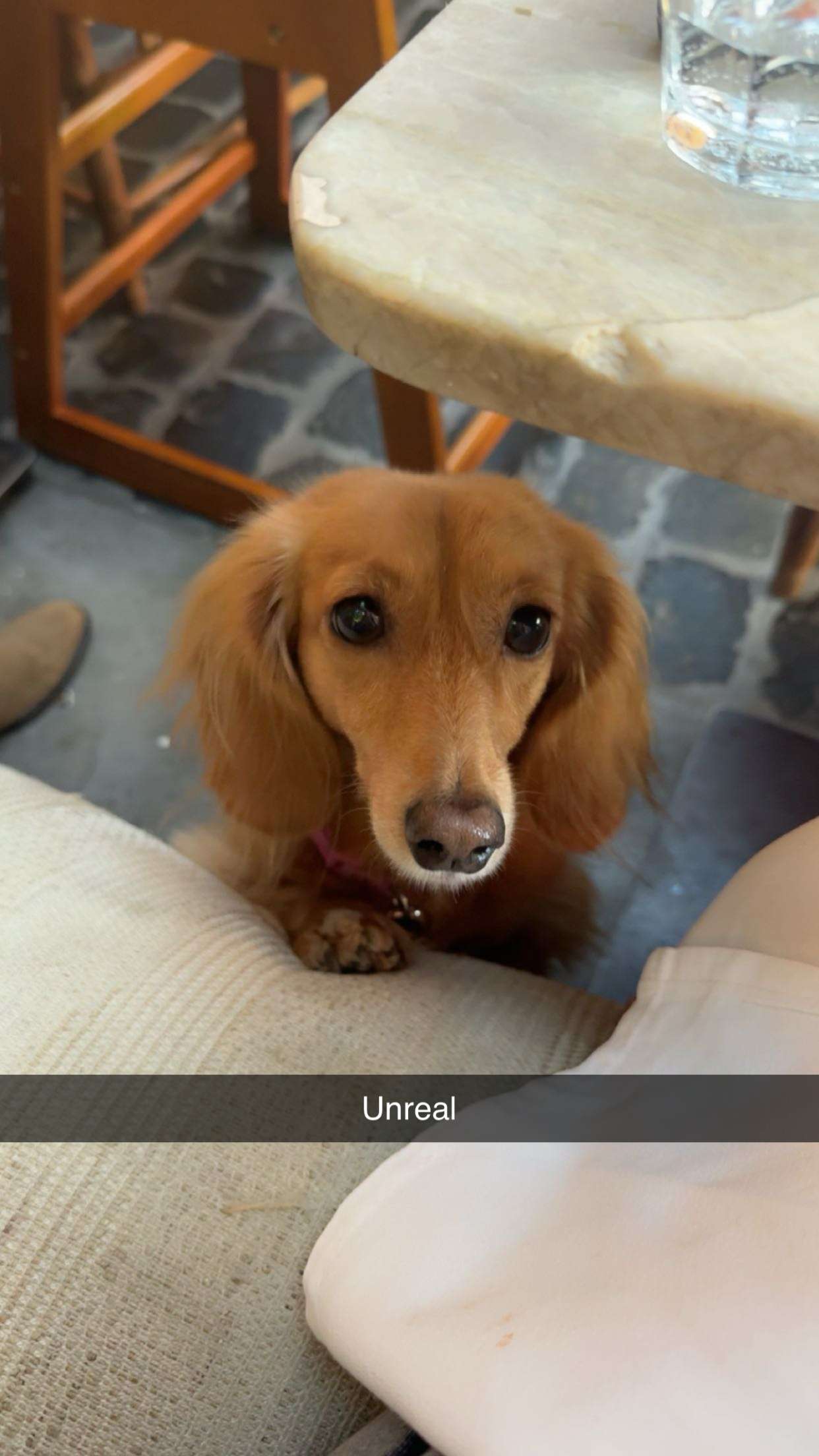 caroworld00 snapchat image archive image