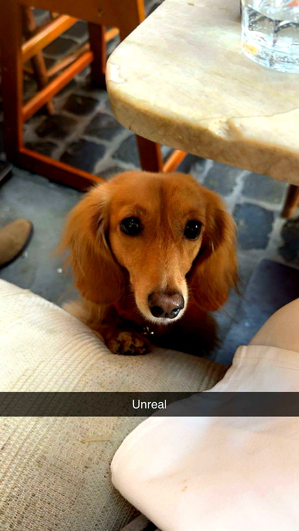 caroworld00 image ~ Altpins