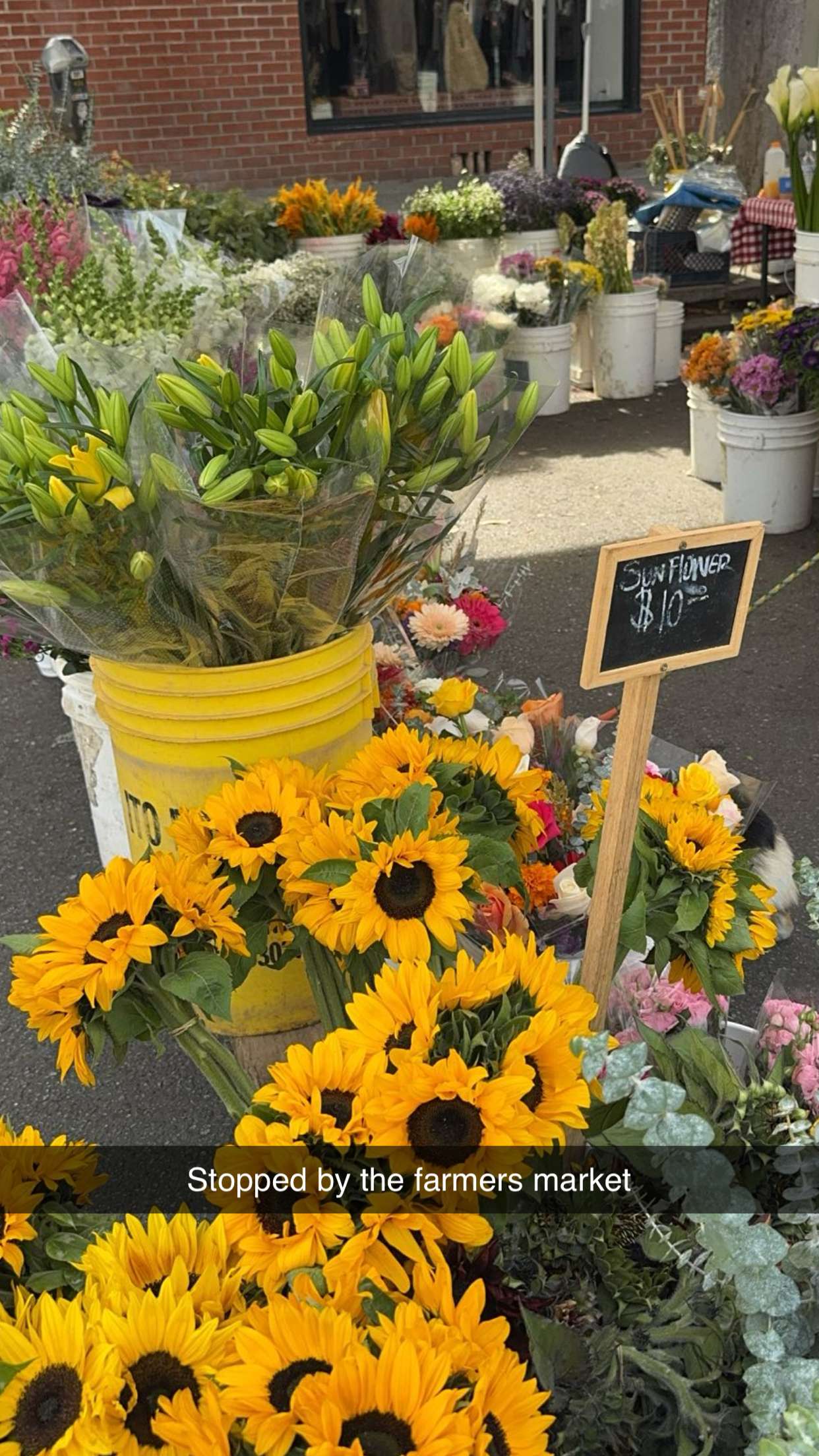 caroworld00 snapchat image archive image