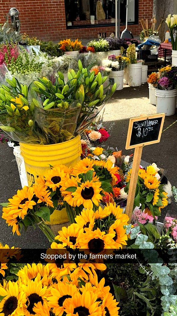 caroworld00 image ~ Altpins