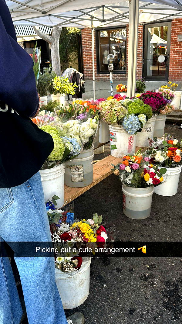 caroworld00 image ~ Altpins