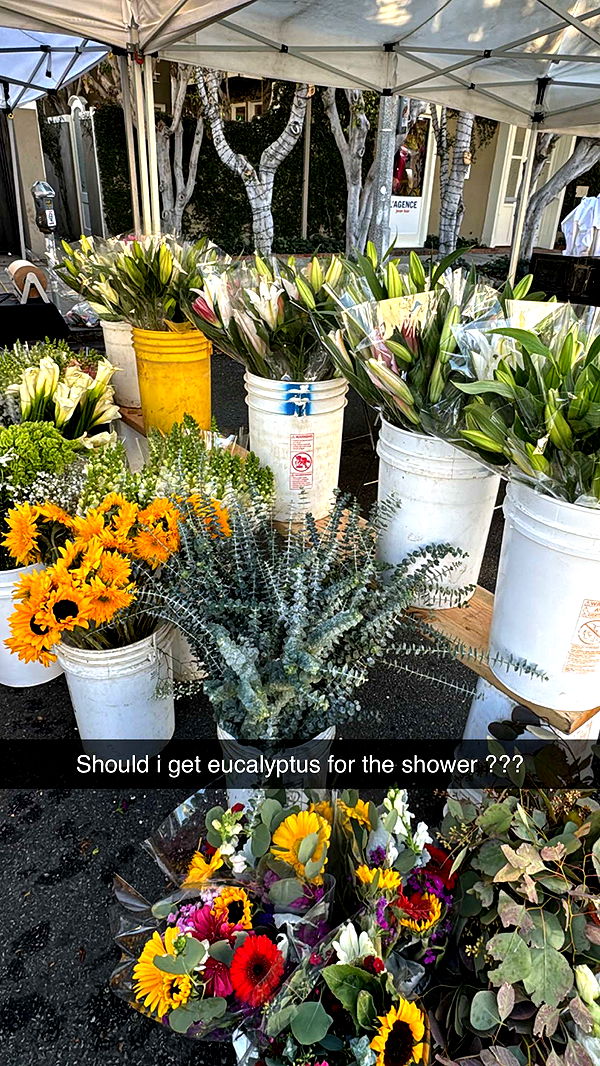 caroworld00 image ~ Altpins